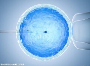 周启明 主任医师